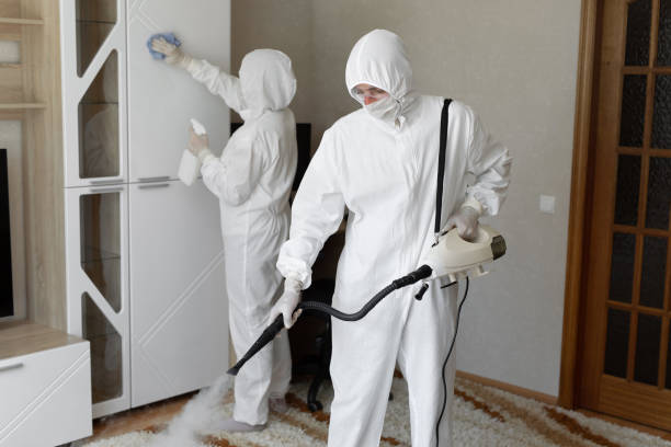 Mold Removal Process in Newport, RI